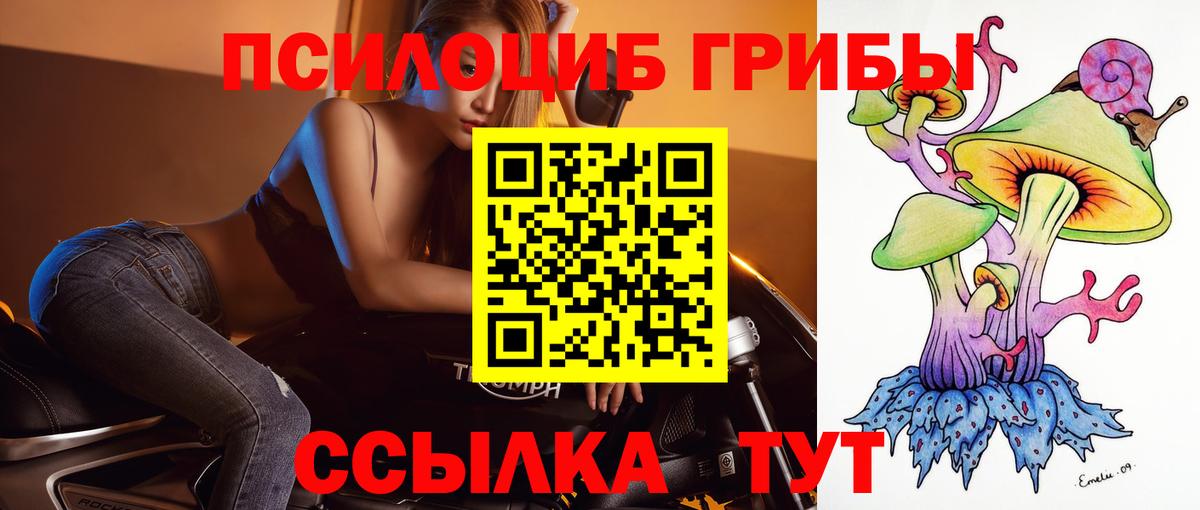 Домодедово  Галлюциногенные грибы Psilocybe  Псилоцибиновые грибы MAGIC MUSHROOMS  Вход с VPN 